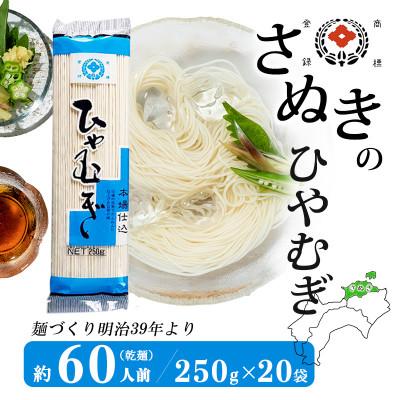 ふるさと納税 観音寺市 合田照一商店 さぬきうどん店が作る ひやむぎ 乾麺タイプ約60人前 250g×20袋詰