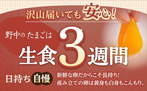 【6回定期便】産みたて新鮮卵 野中のたまご  80個×6回 計480個【野中鶏卵】 [OAC008] /卵 たまご 高級卵 卵焼き 卵かけご飯 たまご 濃厚たまご タマゴ