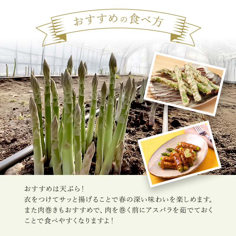 先行予約 【 2026年 発送 ！】北海道 上富良野産 ホワイトアスパラガス 3L サイズ 800g アスパラ ホワイトアスパラ 上富良野町 令和6年発送 先行受付 野菜 やさい