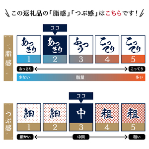 【定期便】南マグロねぎとろ600g＜6人前＞×6回 (b100-074)