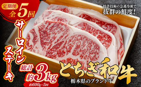 ＜定期便5回＞とちぎ和牛の厚切りサーロインステーキ 600ｇ×5回 計約3kg【栃木県共通返礼品】| 和牛 定期便 栃木県 茂木町