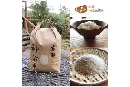 【3回定期便】京都・神前米 キヌヒカリ 10kg×3回☆精米したてをお届け≪減農薬 自家栽培米 生産農家 直送 米 令和5年産 精米 クリーン白米≫    