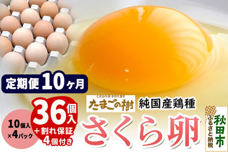 《定期便10ヶ月》 たまごの樹 純国産鶏種 卵『さくら』36個+割れ保証4個付き（10個入×4パック）