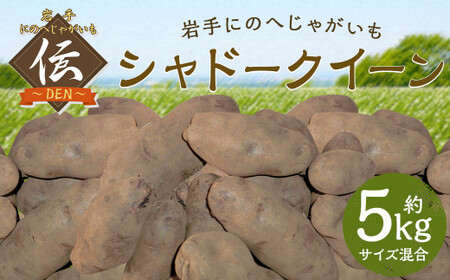 【厳選品】岩手にのへじゃがいも「伝」シャドークイーン（サイズ混合） 5kg 【2026年9月中旬から2027年2月下旬発送予定】／ジャガイモ じゃがいも 芋 イモ  ポテト 野菜 お取り寄せ 農家 産地直送