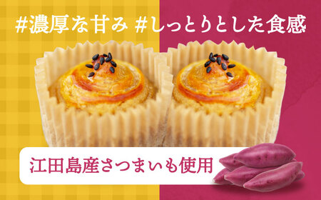【全6回定期便】ねっとり濃厚！ ひとくちサイズの スイートポテト 16個セット さつまいも 人気 お菓子 スイーツ 美味しい 和菓子 ギフト プレゼント 江田島市/峰商事合同会社[XAD061]