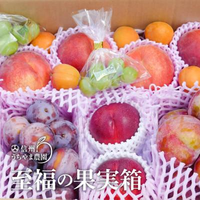 ふるさと納税 長野県 信州うちやま農園のフルーツ詰め合わせ【夏に届く】至福の果実箱A(3〜5種類+シャインマスカット粒)