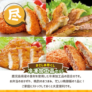 かごしまの味　加工品セット_keizai-914