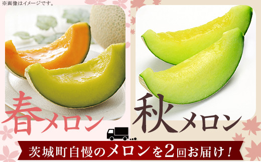 371 メロン 定期便 春メロン 秋メロン 人気 食べ比べ フルーツ 先行予約 数量限定 2回 お届け メロン好き 集合