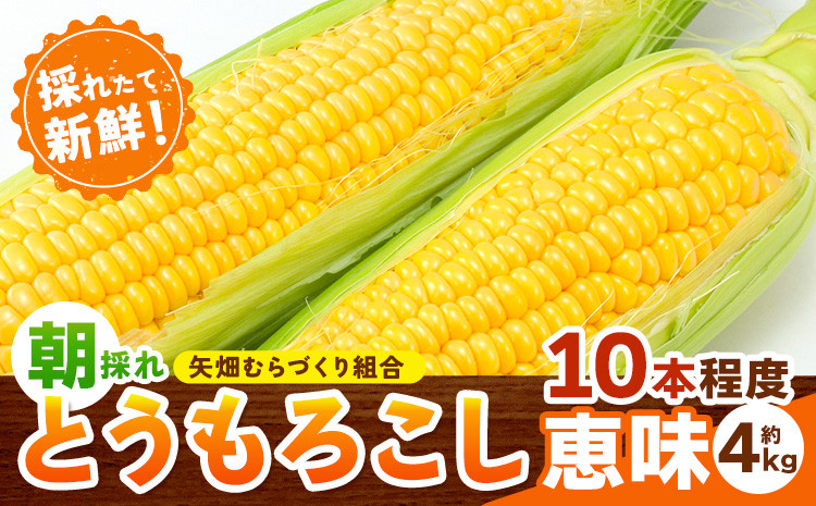 
            とうもろこし 恵味 約4kg 10本入り 朝採れ クール便 野木町産 矢畑むらづくり組合 《6月下旬-7月下旬頃出荷》栃木県 野木町 トウモロコシ 野菜
          
