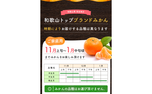 【10月発送】有田育ちのご家庭用完熟 有田みかん 8.5kg＋200g（傷み補償分） 【ard196B-10】