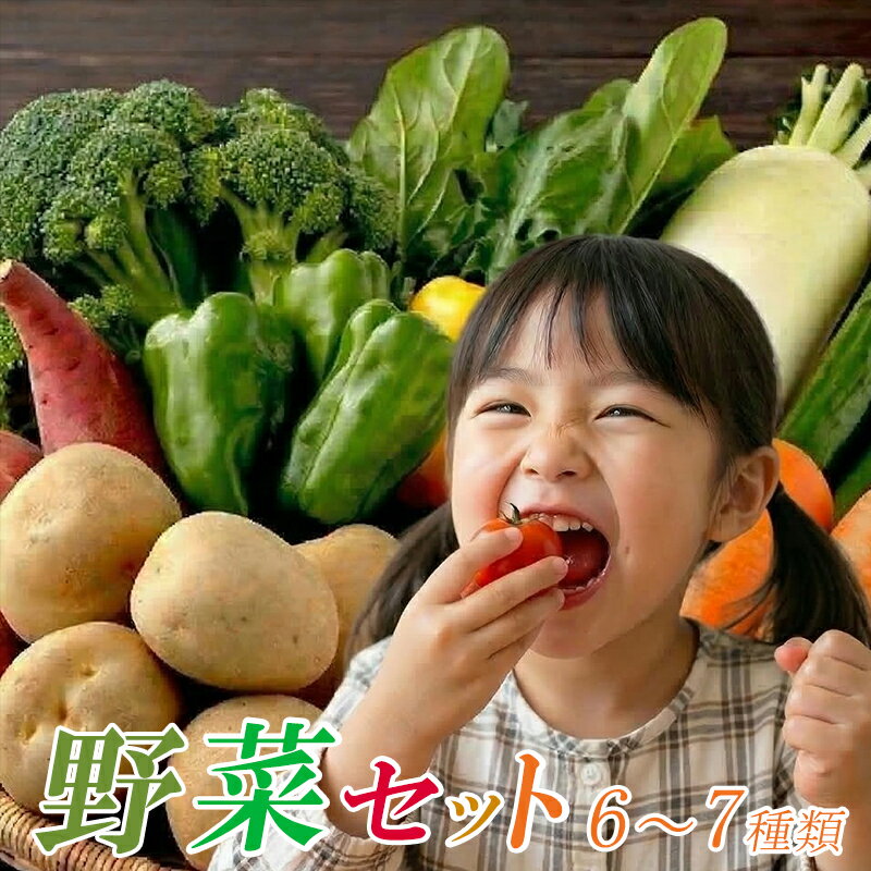 【ふるさと納税】 「安芸ブランド」 新鮮お野菜詰め合わせセット 6〜7種類 高知県安芸市 安芸駅ぢばさん市場 新鮮野菜 季節の果物 6~7種類程度 野菜 果物 詰め合わせ 採れたて 旬の野菜セット 健康 栄養