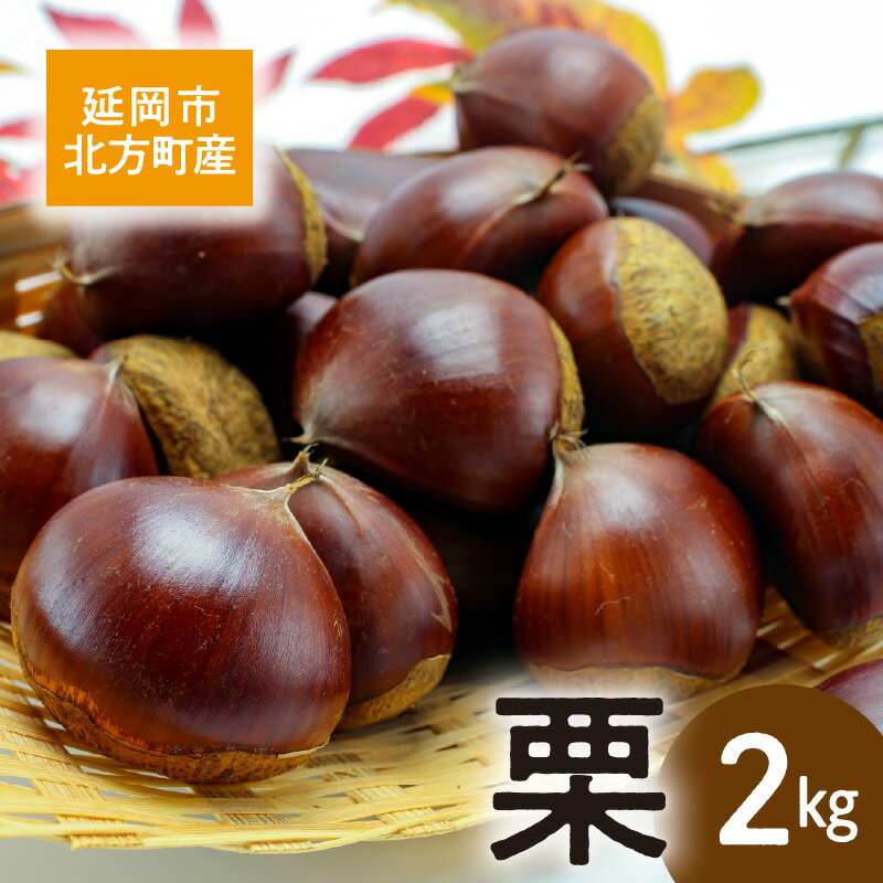 【ふるさと納税】先行予約 北方町産 栗 2kg 2025年8月下旬より発送開始 素材の味 大きい 秋の味覚 栗ご飯 おこわ 焼き栗 栗きんとん 渋皮煮 スイーツ 甘露煮 果物 冷蔵 宮崎県 延岡市 お取り寄せ お取り寄せグルメ 送料無料
