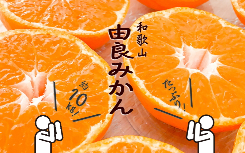
            和歌山由良みかん 秀品 約10kg サイズおまかせ(Ｌ・М・Ｓ)  / みかん ミカン 果物 くだもの フルーツ 柑橘 オレンジ 和歌山【sml111A】
          