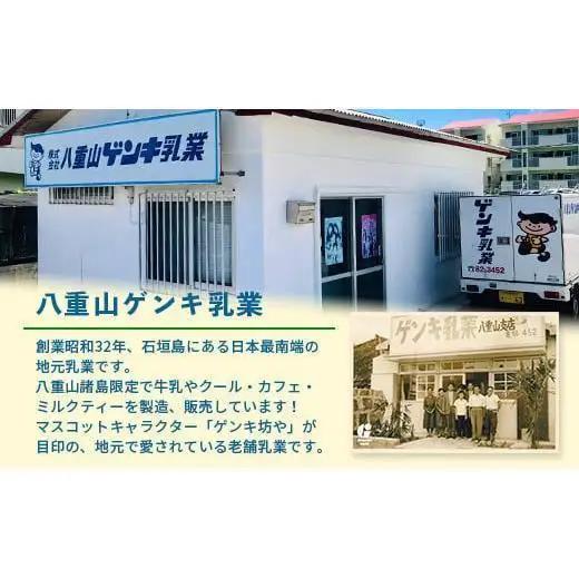 【定期便_5回】八重山ゲンキ乳業 オールスターセット　GN-2_5t