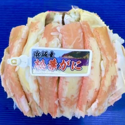 ふるさと納税 京丹後市 松葉ガニ　甲羅盛　2L |  | 01