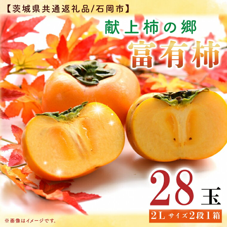 【ふるさと納税】【11月中旬より発送】献上柿出荷組合の富有柿2L 28玉【茨城県共通返礼品／石岡市】【柿 かき カキ フルーツ 果物 くだもの 八郷柿 ふるさと納税 水戸市 茨城県】（GP-3-3）