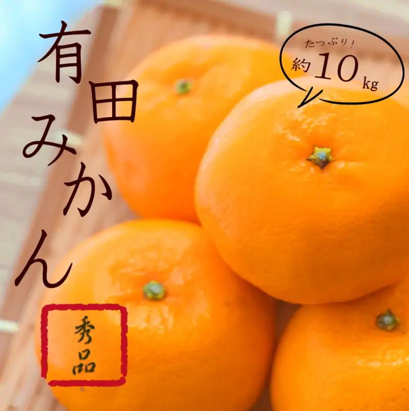 紀州有田みかん 秀品 約10kg(МまたはSサイズ)【sml109A】