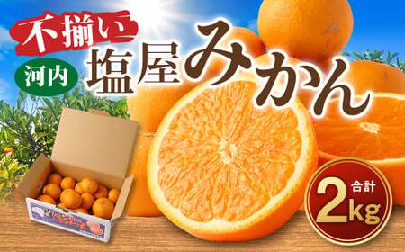 ＜2025年12月発送予定＞【不揃い】選べる 河内 塩屋みかん 2kg 青島みかん 熊本 国産 みかん 蜜柑 ミカン 果物 くだもの フルーツ 