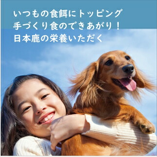 鹿の匠丹波 鹿の手づくり食C 無添加 鹿肉 しか シカドッグフード 生食セット 低アレルギー 国産ペットフード 愛犬用 冷凍 兵庫県 丹波市