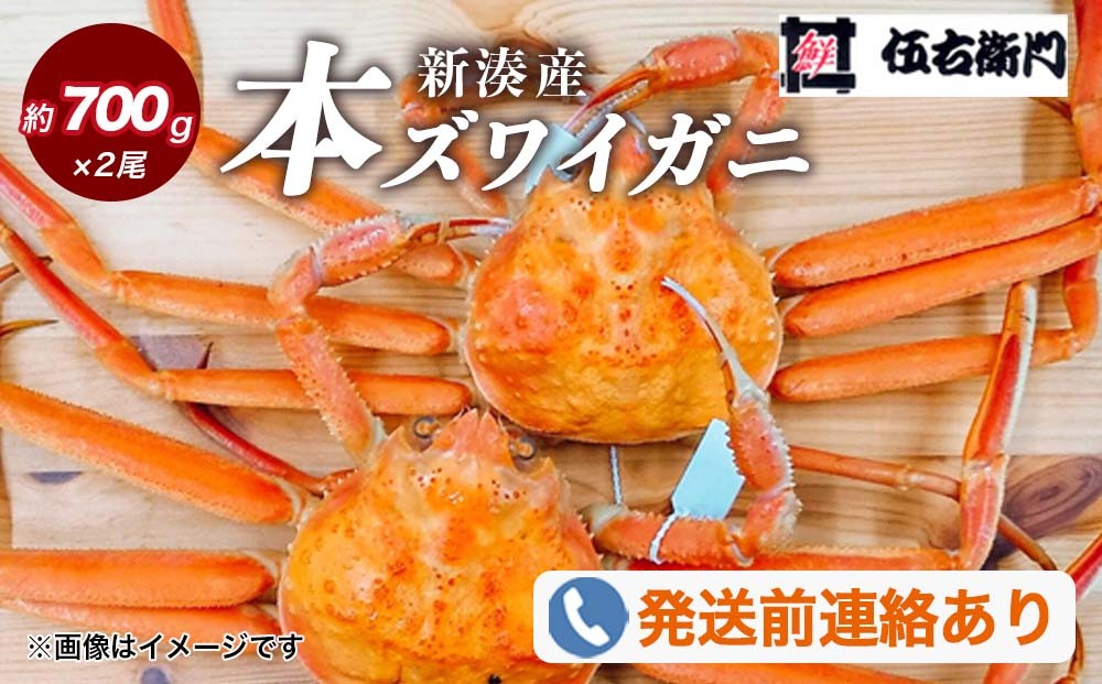 
                  【伍右衛門】新湊産本ズワイガニ約700g×2尾｜ずわい蟹 ずわいガニ ズワイガニ 本ズワイガニ 本ずわいがに カニ 蟹 かに かにしゃぶ カニしゃぶ 蟹しゃぶ かに鍋 カニ鍋 蟹鍋 かに味噌 カニ味噌 かにみそ 魚貝類 魚介類 ボイル 国産 富山 富山湾 北陸 富山カニ 北陸カニ ※2026年11月～発送 ※発送まで1か月以上かかる場合があります。
                