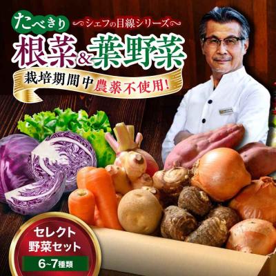 ふるさと納税 大洲市  根菜×葉野菜 6から7種 単身・二人暮らし用セット [AGBX051]