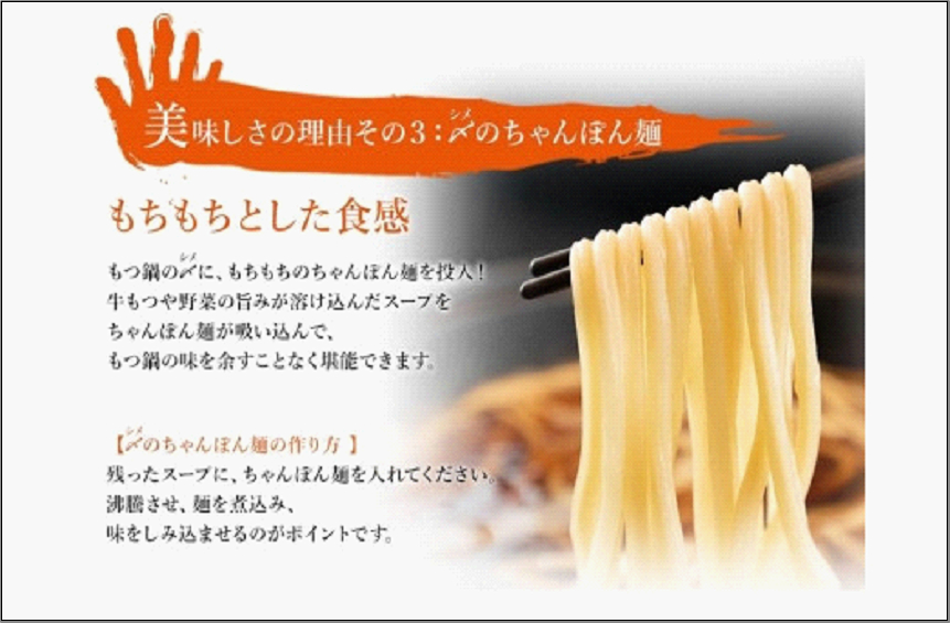 九州名物 とめ手羽 博多もつ鍋セット 九州しょうゆ味 5～6人前