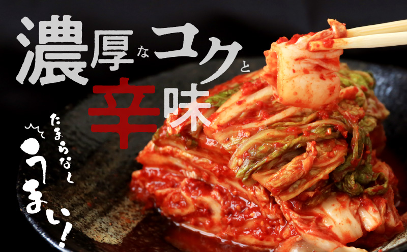 【リピーター続出！】白菜キムチ 1kg【新鮮野菜 高評価 人気 惣菜 きむち 漬物 韓国グルメ おつまみ 家計応援 大阪 泉佐野 大阪府 泉佐野市】