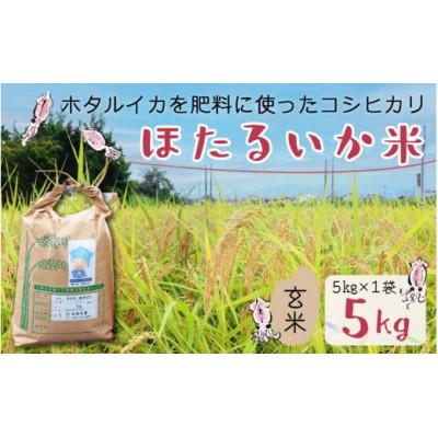 ふるさと納税 滑川市 【ほたるいか米】玄米　5kg