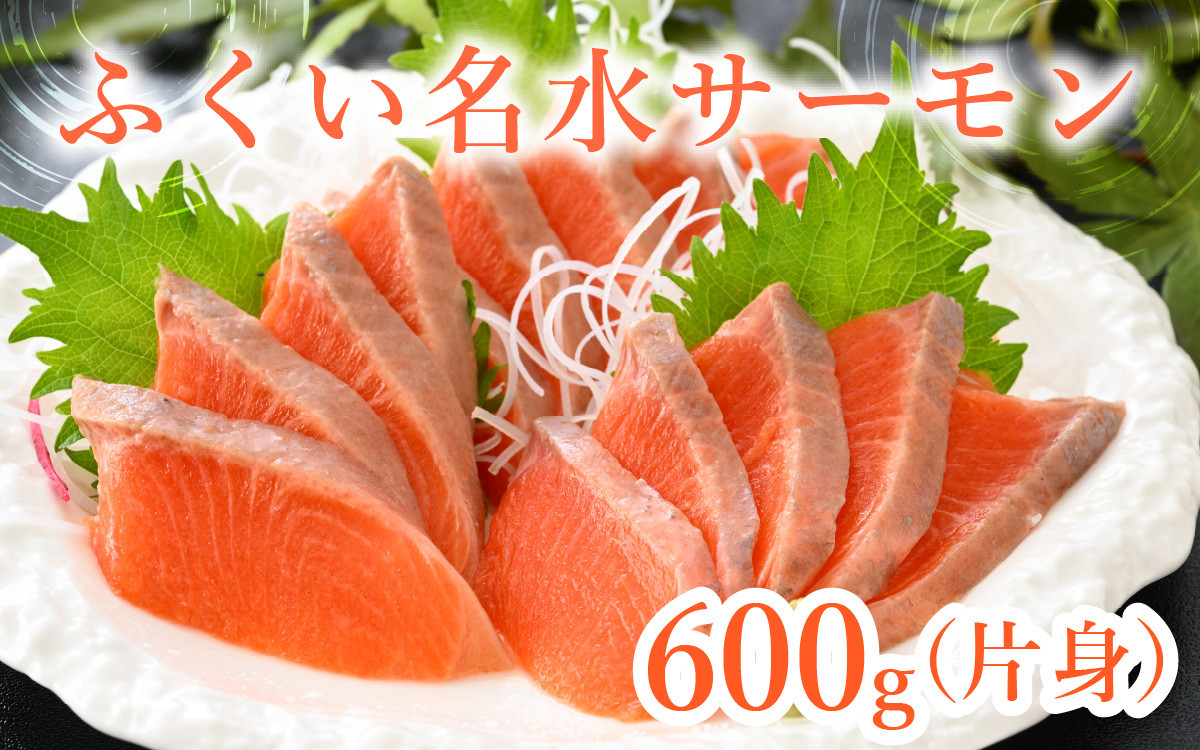 
            【希少】福井県大野市産 ふくい名水サーモン 片身 約600g（生食・加熱用）真空冷凍 [A-014010]
          