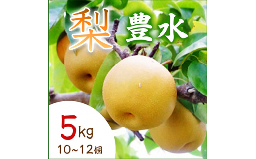 ＜2025年9月より順次発送予定＞豊水　5kg　10～12個(県内共通返礼品:石岡市産) (BR016)