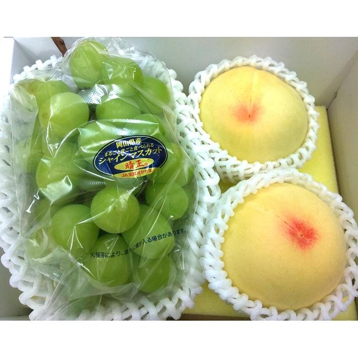 【ふるさと納税】2026年 岡山県産フルーツ詰め合わせ（シャインマスカット1房、桃2個入） | フルーツ 果物 くだもの シャインマスカット マスカット 桃 モモ もも 詰め合わせ セット フルーツ詰め合わせ 岡山 岡山県産 ギフト プレゼント 贈答用