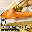 【ふるさと納税】定塩（塩鮭）銀鮭極厚切身（約1．2キロ） 冷凍 小分け 8切 おかず 弁当 .AB204