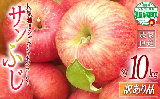 【 訳あり品 】 りんご サンふじ 10kg  ( 22玉 ~ 40玉 )  訳あり ふじ リンゴ 島田フルーツ農園 令和8年収穫分 2026年12月上旬から2027年1月下旬頃までお申込み順に発送予定 林檎 訳アリ わけあり 不揃い 果物 くだもの フルーツ 長野県産 長野 お試し 10キロ 長野県 飯綱町 [2073]