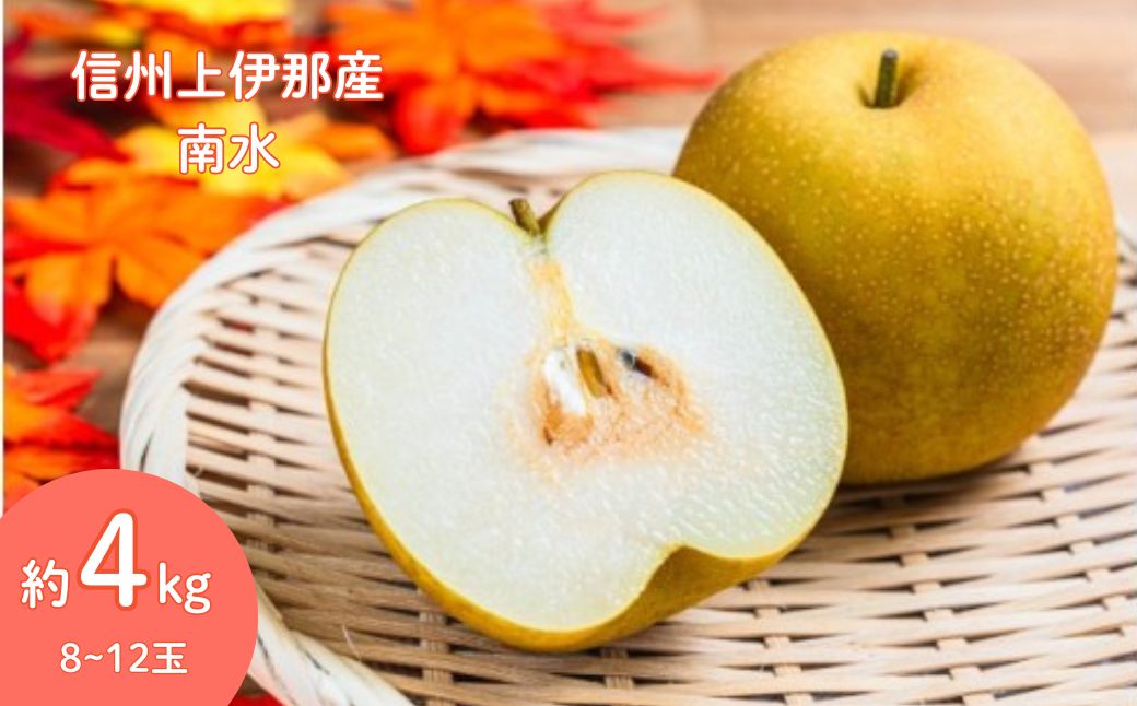 【ふるさと納税】 梨 ナシ 信州 上伊那産 贈答用 南水 約4kg (8~12玉）｜梨 なし ナシ 果物 くだもの 南水 JA上伊那 伊那市 長野県 信州 ふるさと納税【017-28】