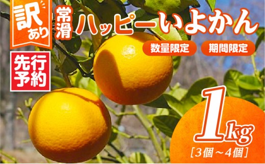 【先行予約】【訳あり】常滑ハッピーいよかん 1kg （3～4個）｜果物 フルーツ 柑橘 伊予柑 イヨカン みかん 訳あり ご家庭用 数量限定 愛知県 常滑市 知多半島