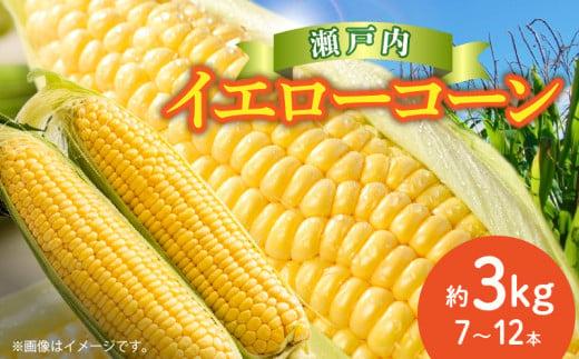 ＼寄附額改定／瀬戸内イエローコーン 約3kg【2026-6月上旬～2026-7月中旬配送】 372013_T006-143J