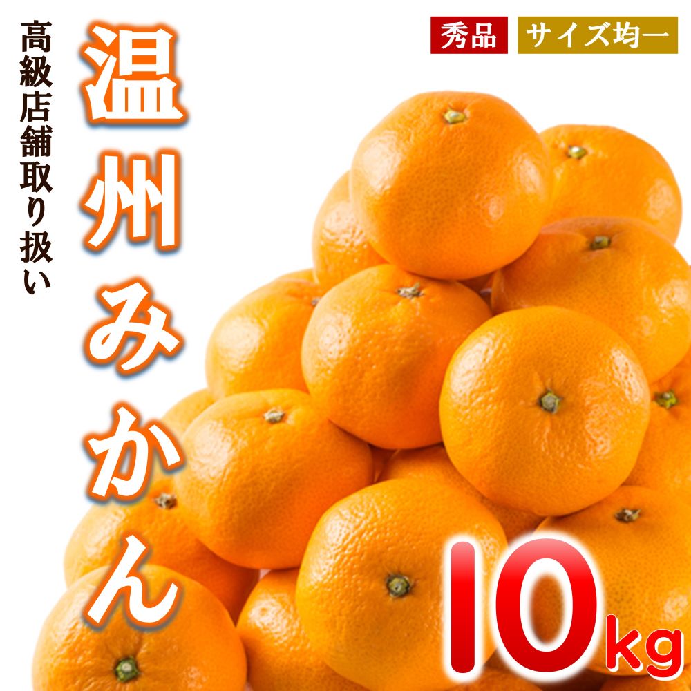 【ふるさと納税】 【 先行予約 】 温州みかん 和水町産 約 10kg ｜ みかん 柑橘 熊本 くまもと 秀品 産地直送 熊本復興 人気 温州 なごみまち