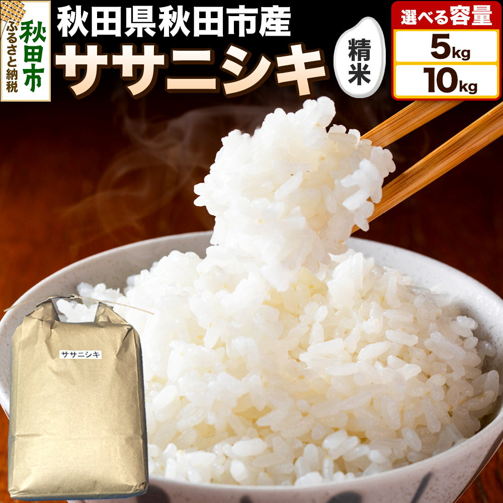【ふるさと納税】令和7年産 秋田県 秋田市産 ササニシキ 精米《選べる容量》 5kg／10kg（5kg小分け袋）白米 米