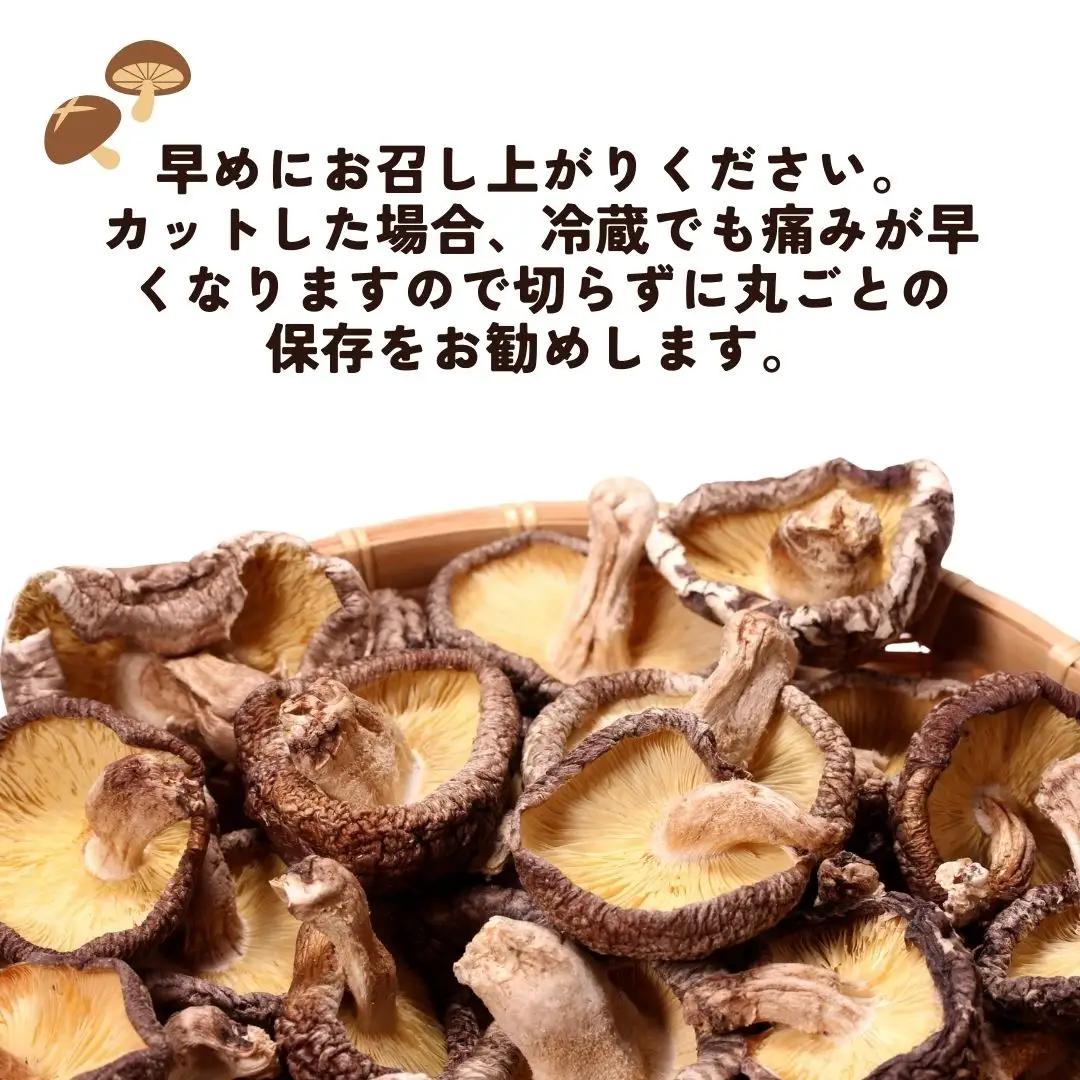 椎茸 干し椎茸セット | 豊後高田市