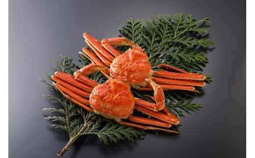 【ボイル】訳あり 松葉がに 500g超 お手頃サイズ　2杯