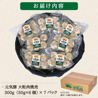 ふるさと納税 多古町 【毎月定期便】元気豚 大粒肉焼売セット 42個セット(計2.1kg)全3回 |  | 03