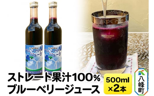 ストレート果汁100％ブルーベリージュース 500ml×2本