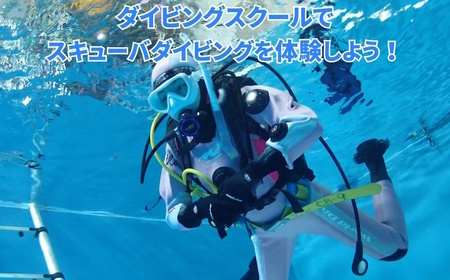 ダイビング体験 3時間 1名様 ダイビング専用プール スキューバダイビング 千葉 スクーバダイビング 体験ダイビング アクティビティ PADIダイビングスクール おすすめ 初心者歓迎 プール 関東 遊
