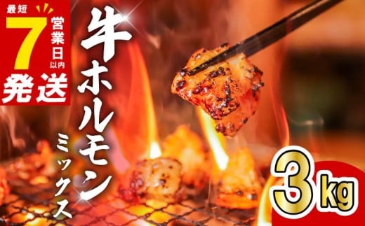 ホルモン 牛 ミックス 3㎏ 300g×10パック 小分け 最短7営業日以内発送 味付き 肉 タレ漬け 牛ホルモン 冷凍 牛肉 味付け肉 ミックスホルモン 焼肉 焼き肉 バーベキュー BBQ キャンプ フライパン ミックスホルモン 奈良県 奈良市 焼肉工房もく