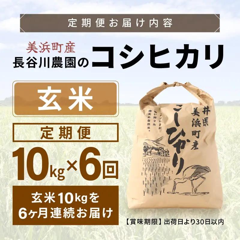 【玄米】定期便 ≪6ヶ月連続お届け≫コシヒカリ 令和8年産 玄米 10kg × 6回 (計60kg) 【長谷川農園】 [m22-k001]