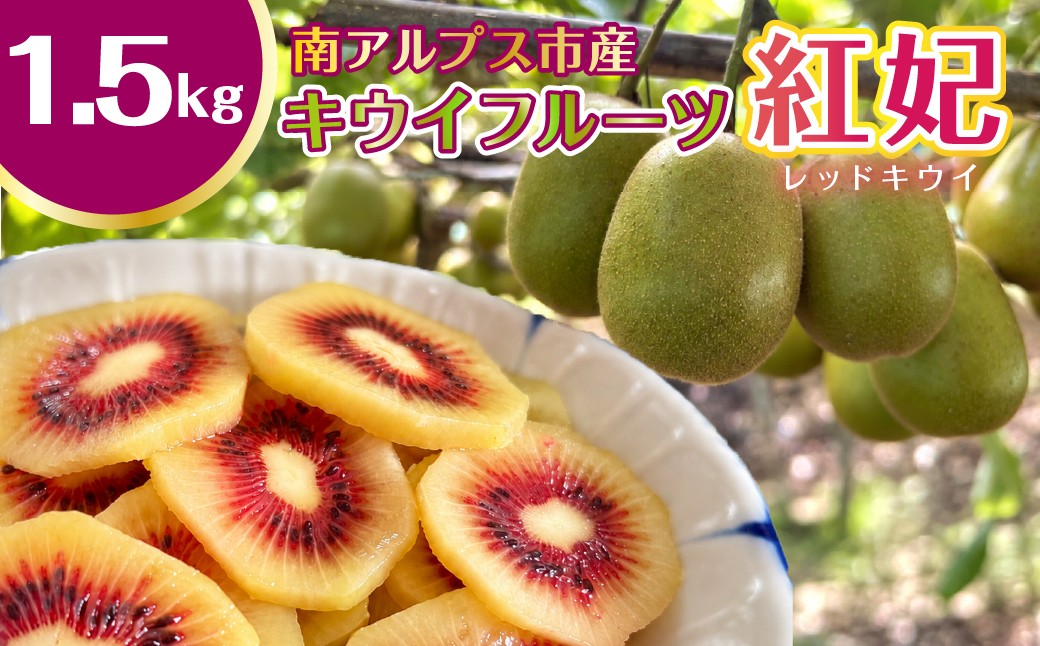 
                  南アルプス市　キウイフルーツ　紅妃（レッドキウイ）　約1.5kg ALPGN004
                