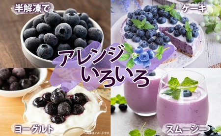 ブルーベリー 北海道産 小分け ブルーベリー【100g×4袋】【冷凍】