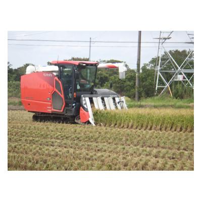 ふるさと納税 神栖市 【令和7年産】オリジナルブランド米!はさき産コシヒカリ鈴穂(精米)2kg |  | 02