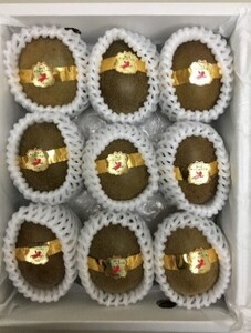 香川県オリジナルキウイ「さぬきエンジェルスイート」約1.2kg　果実 甘い 讃岐 くだもの ジューシー フルーツ 果物詰合せ 