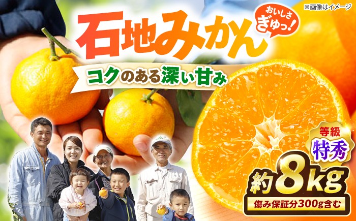 
                  【12月上旬より順次発送】 石地みかん /特秀品 みかん 約8kg（傷み保証分300g含む）＜川添みかん園＞ [CCT008] 長崎 みかん ミカン 西海 みかん 西海市 mikan みかん 贈答 ギフト 果物 フルーツ お取り寄せみかん 柑橘 甘い 高糖度 温州ミカン 石地みかん 大人気 高評価 秀品みかん 産地直送 完熟みかん mikan
                